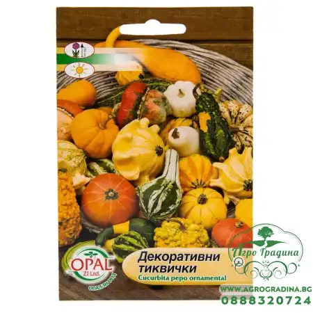 Декоративни тиквички микс Cucurbita pepo ornamental