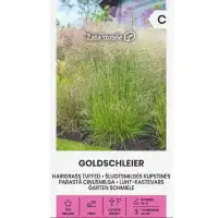 Декоративна трева Goldschleier Deschampsia caespitos