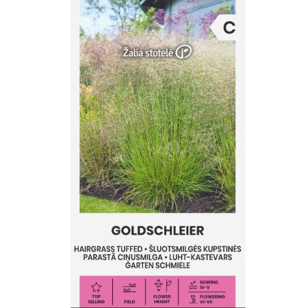  Декоративни треви Голд шлеиер / Deschampsia caespitos