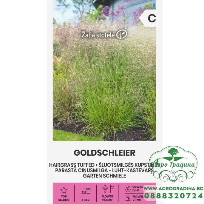 Декоративна трева Goldschleier Deschampsia caespitos