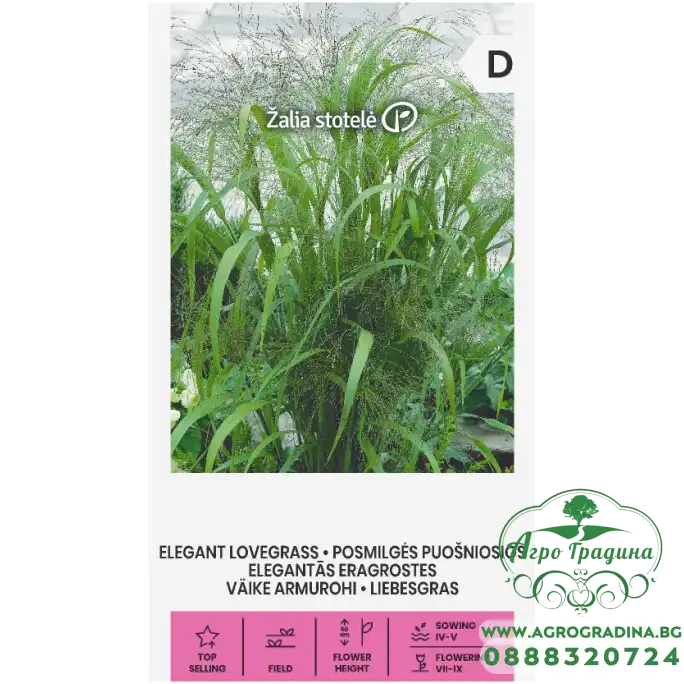 Декоративна трева Elegant Lovegrass Eragrostis Elegants Декоративна трева Elegant Lovegrass Eragrostis Elegants