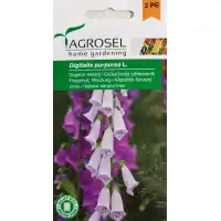 Дигиталис (Напръстник) Микс Digitalis pirpurea