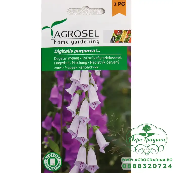 Дигиталис (Напръстник) Микс Digitalis pirpurea