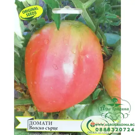 Домати Волско сърце