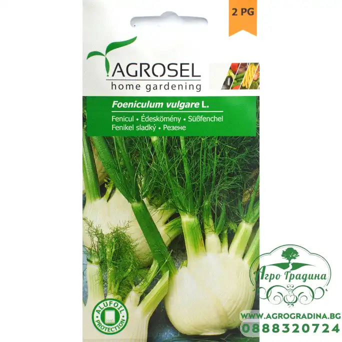 Семена за Фенел (Резене)