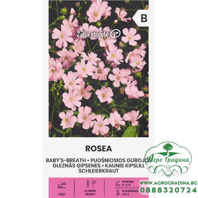 Гипсофила Розеа Gypsophila elegans M. Bieb.