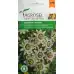 Пасифлора Passiflora caerulea L