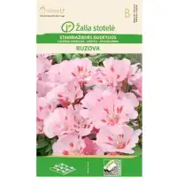 Годеция розова Godetia grandiflora