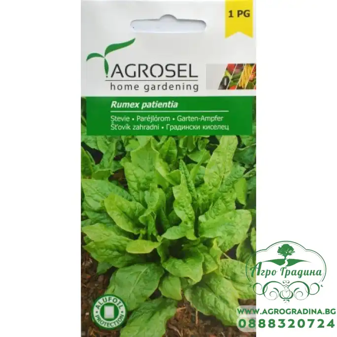 Градински киселец Градински киселец