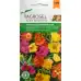 Калдаръмче Микс Portulaca grandiflora Hook