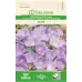 Кампанула Синя Campanula carpatica Jacq