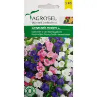 Кампанула Микс Campanula medium