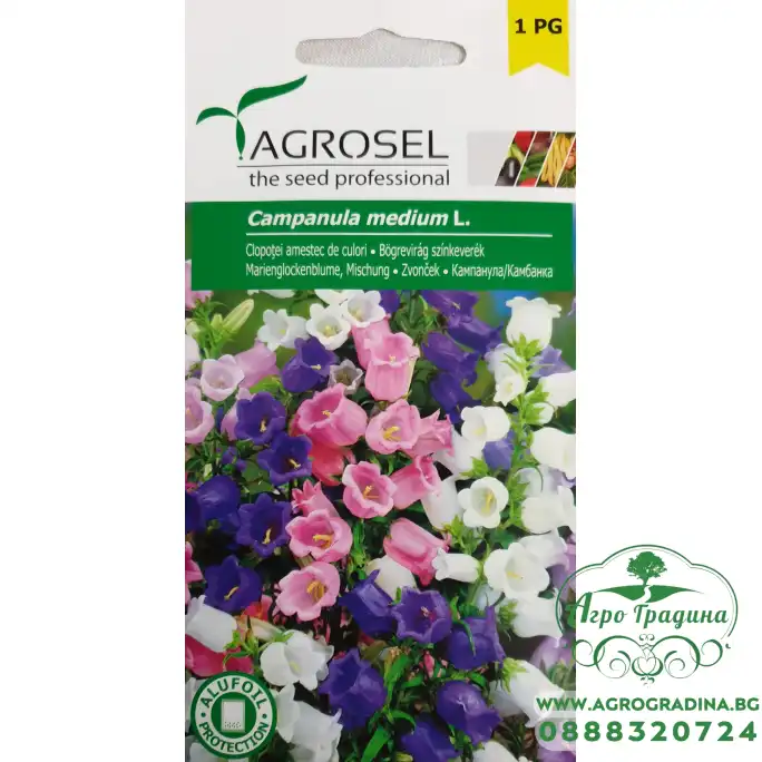 Кампанула Микс Campanula medium