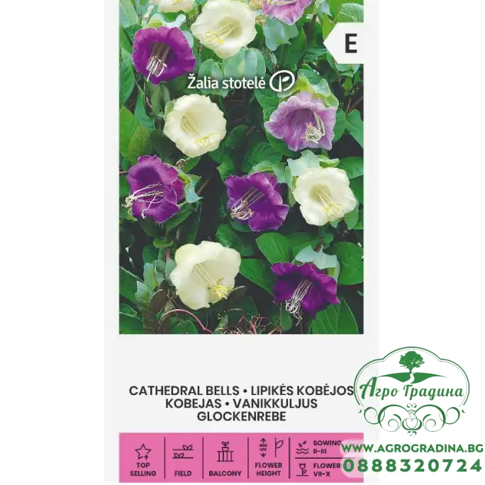 Кобея микс Catedral Bells