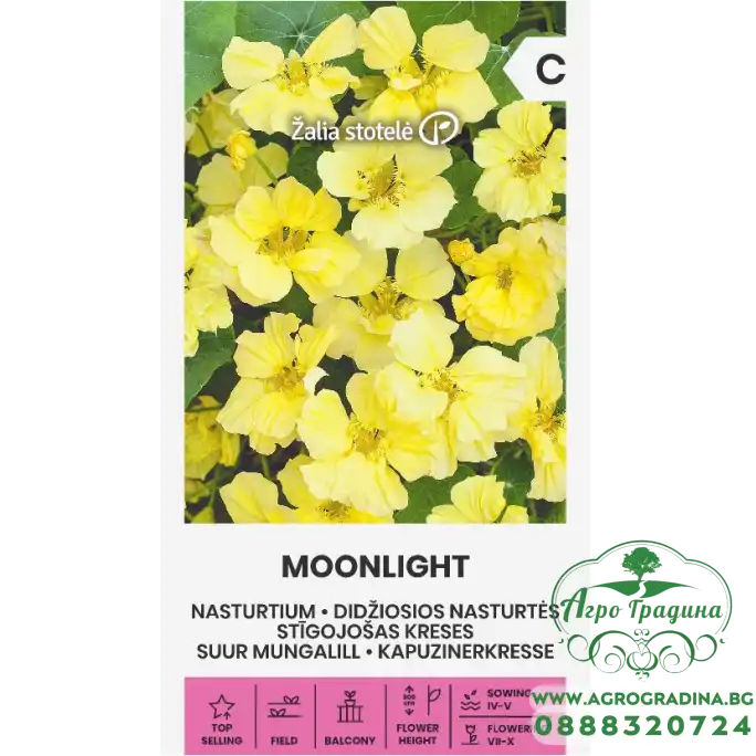 Латинка Лунна светлина Tropaeolum nanum