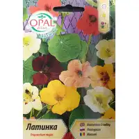 Латинка увивна смес