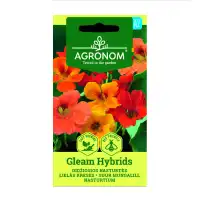 Латинка увивна Gleam Hybrids