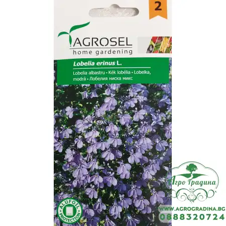 Лобелия ниска микс