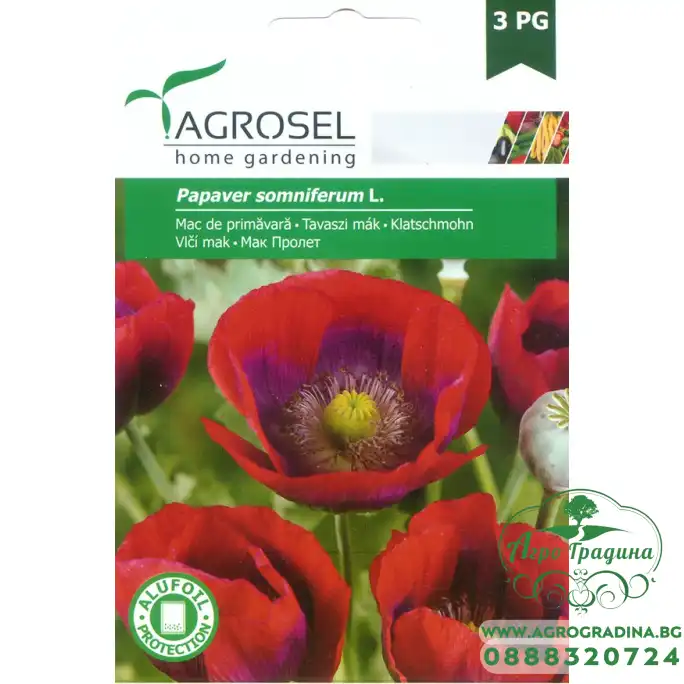 Семена за пролетен Мак