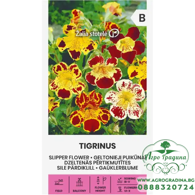 Мимулус Микс Tigrinus Mimulus luteus