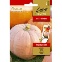 Тиква Пасифик Гигант - достига до 300 кг