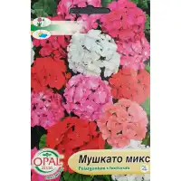 Мушкато F1 микс Pelargonium x hortorum