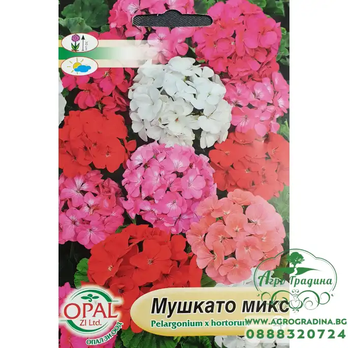 Мушкато F1 микс Pelargonium x hortorum
