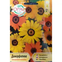 Диморфотека микс Dimorphotheca aurantiaca