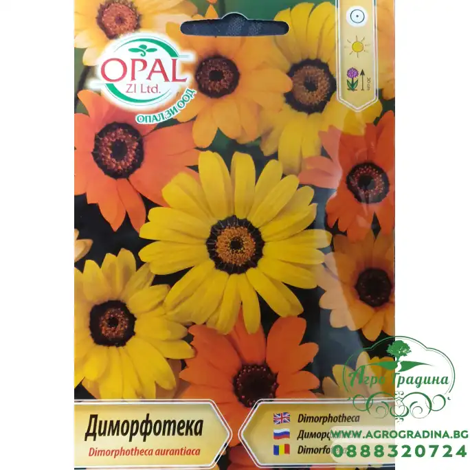 Диморфотека микс Dimorphotheca aurantiaca