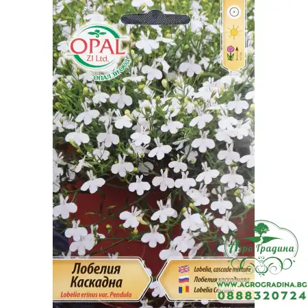 Каскадна Лобелия