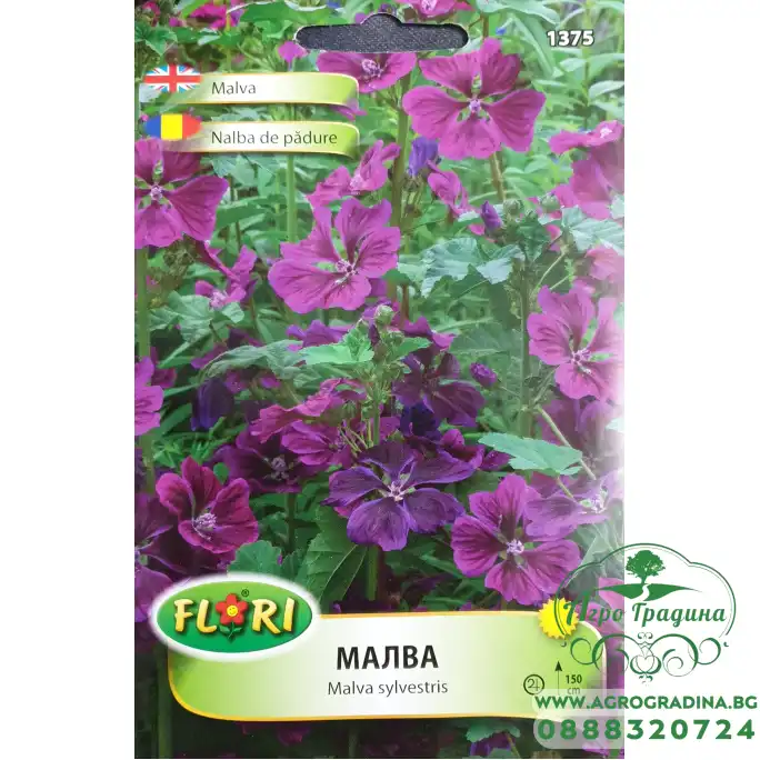 Малва (Слез) Malva sylvestris