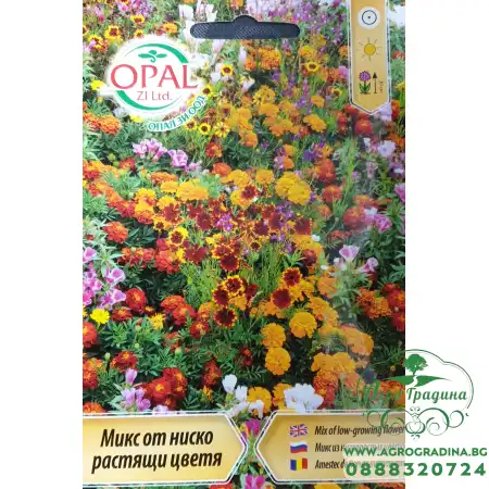 Микс от ниско растящи цветя
