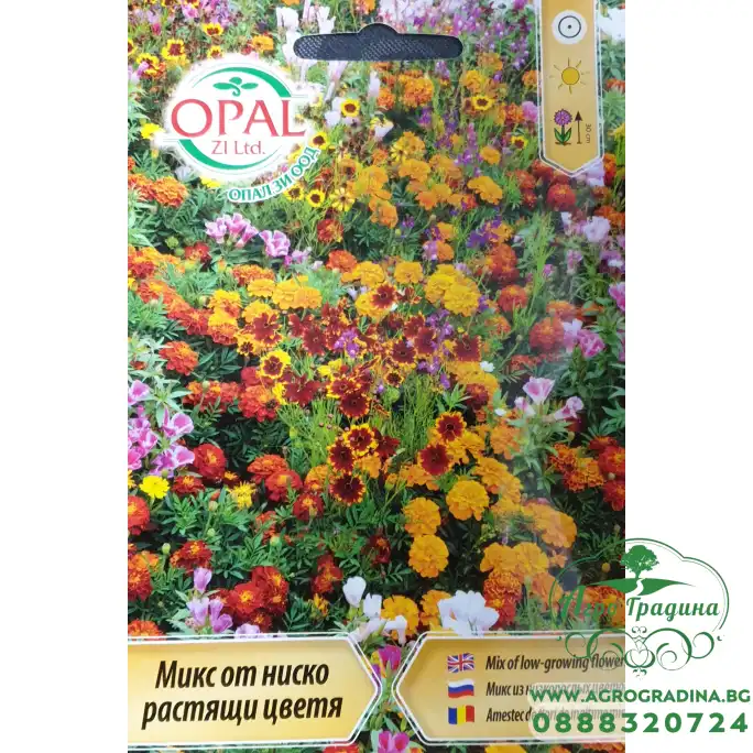 Микс от ниско растящи цветя