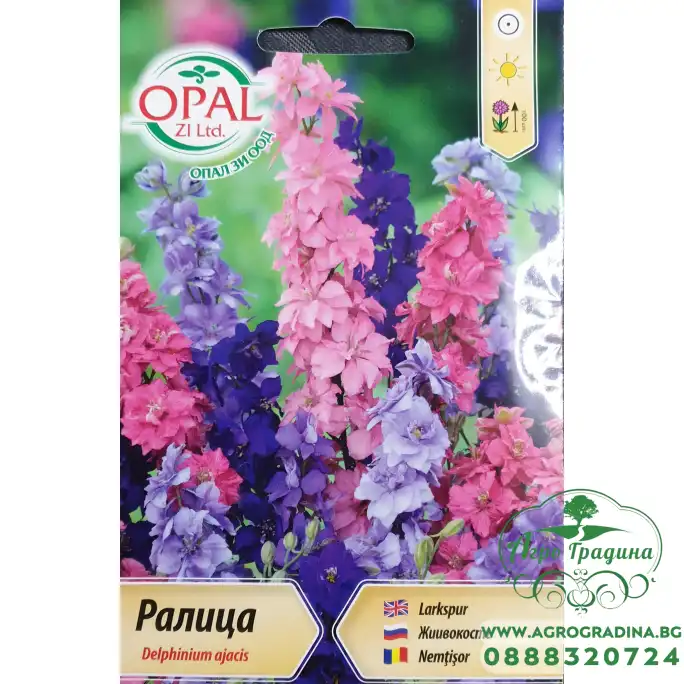 Ралица (Делфиниум ) Delphinium ajacis