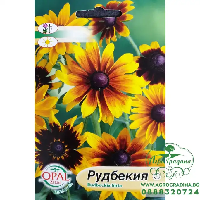 Рудбекия Rudbeckia hirta