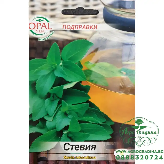 Стевия Stevia rebaudiana
