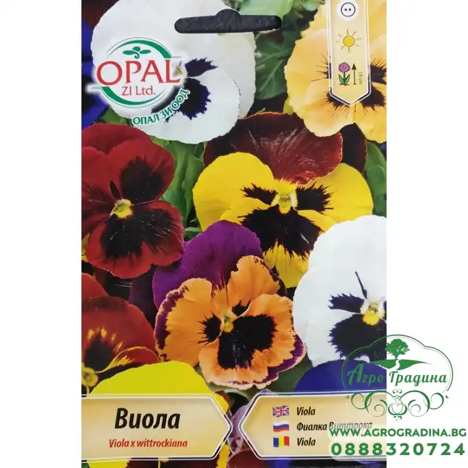Виола Микс Viola x wittroskiana