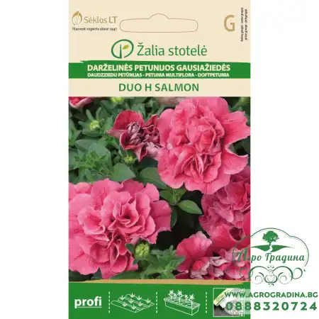 Петуния кичеста Дуо Салмон Petunia hybrida multiflora