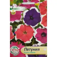Петуния каскадна