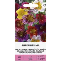 Салпиглосис Микс Superbissima Salpiglossis sinuata Ruiz et Pav.