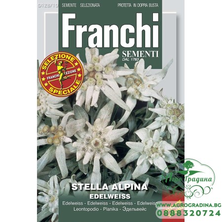 Семена за Еделвайс / Edelweiss Stella Alpina