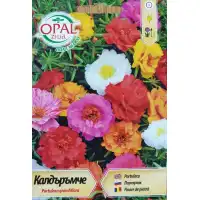 Калдаръмче смес