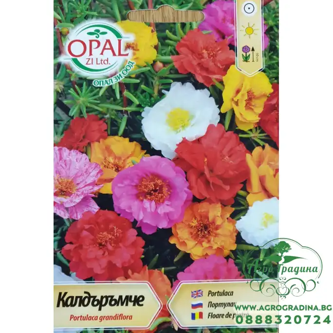 Калдаръмче смес