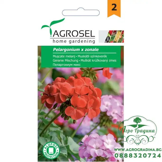 Семена за Мушкато (Pelargonium)