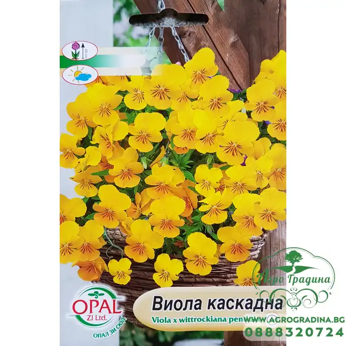 Семена от каскадна Виола (жълта)