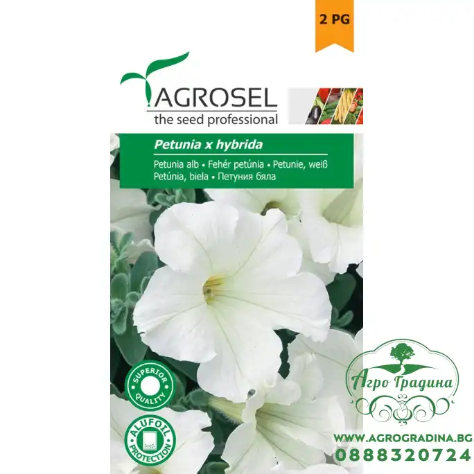 Семена Петуния бяла