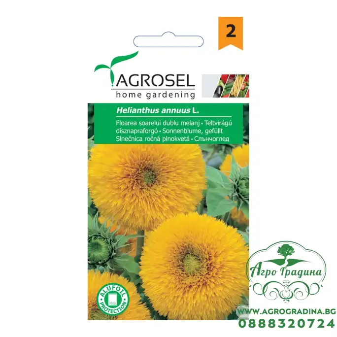 Семена за Слънчоглед Helianthus annuus