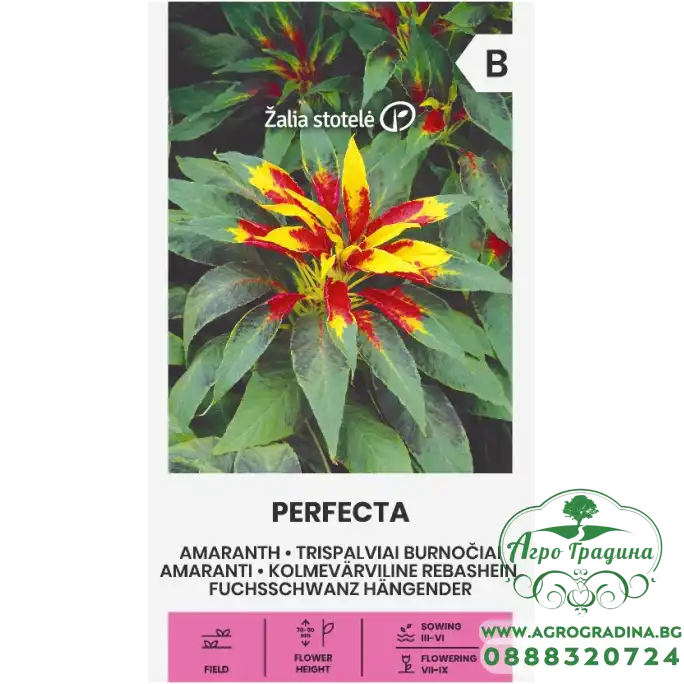 Амарант (Щир) Perfecta Amaranthus gangeticus L Амарант (Щир) Perfecta Amaranthus gangeticus L
