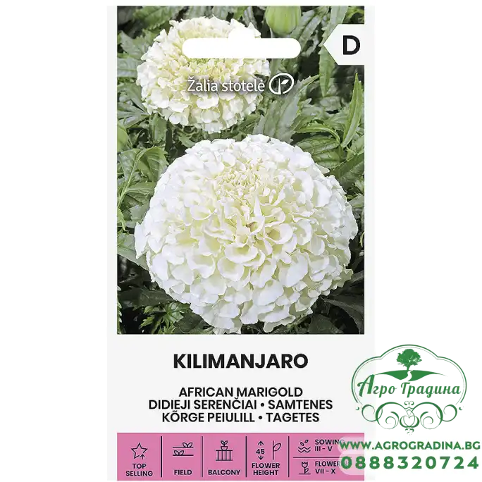 Тагетес Килиманджаро Tagetes erecta L.