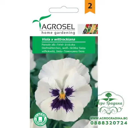 Виола Бяла Viola x wittroskiana